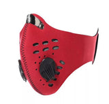 Reusable Face Mask