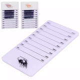 Lash Palette